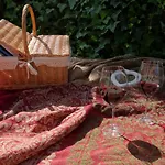 My - Vina - Ter מונצ'יק