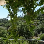 My - Vina - Ter מונצ'יק