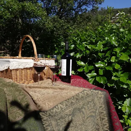 My - Vina - Ter Casa di campagna Monchique