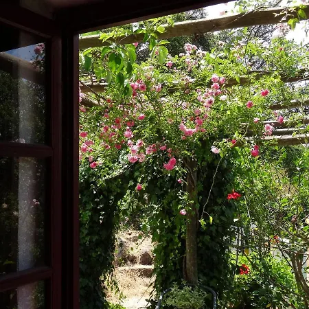 My - Vina  - Ter Country house Monchique