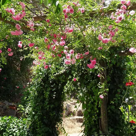 My - Vina  - Ter Country house