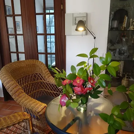 My - Vina  - Ter Country house Monchique