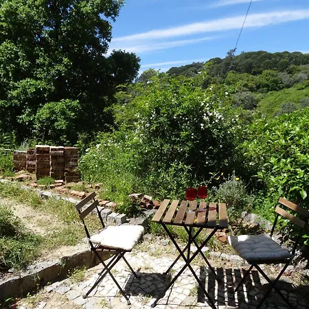 Casa rural My - Vina - Ter