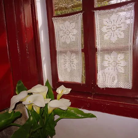 Country house My - Vina  - Ter Monchique