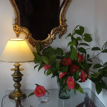 My - Vina  - Ter Monchique