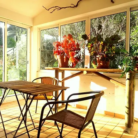 My - Vina  - Ter Monchique