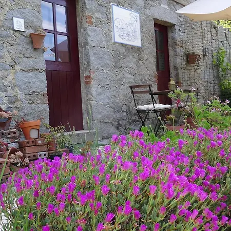 My - Vina  - Ter * Monchique