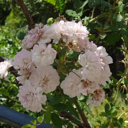 منزل ريفي My - Vina - Ter