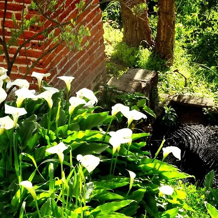 My - Vina - Ter مونشيك