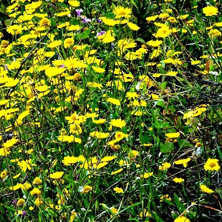 منزل ريفي My - Vina - Ter