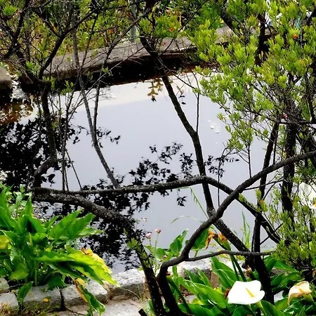 My - Vina - Ter مونشيك